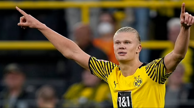 段瑾瑜搭档两匹爱驹摘夺四冠，广东马术联赛第九站完美收官！